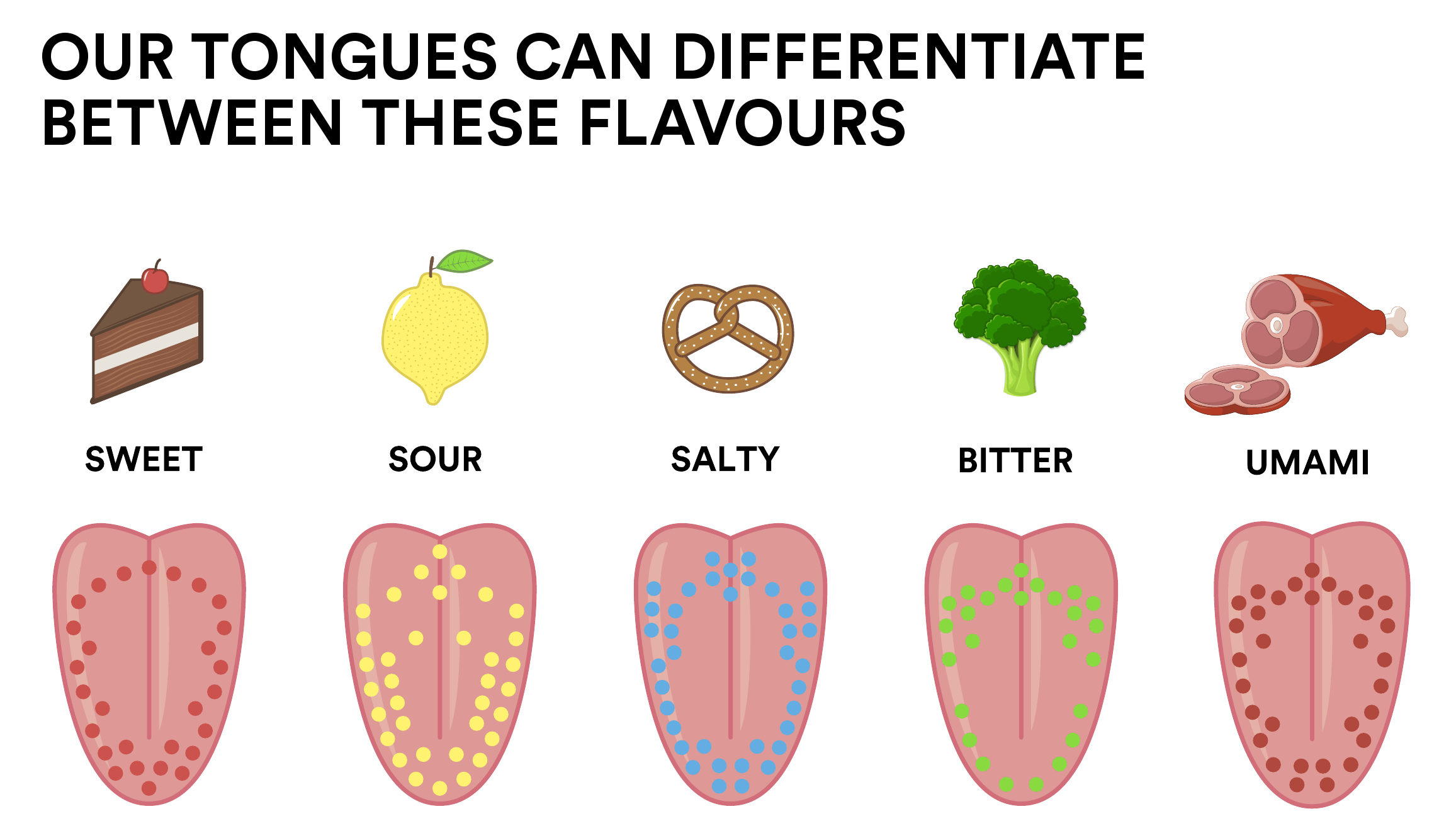 Sense of taste | CHAPTER 10 | Anatomy and Physiology