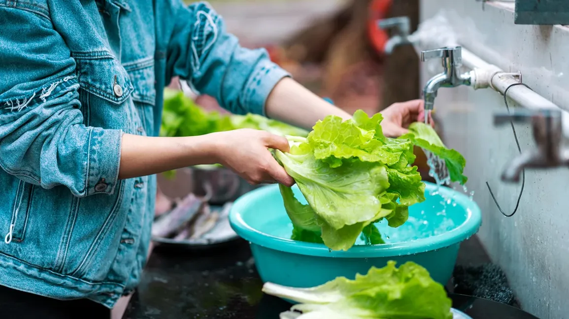 Food borne disease | CHAPTER 4 | Nutrition and Dietetics