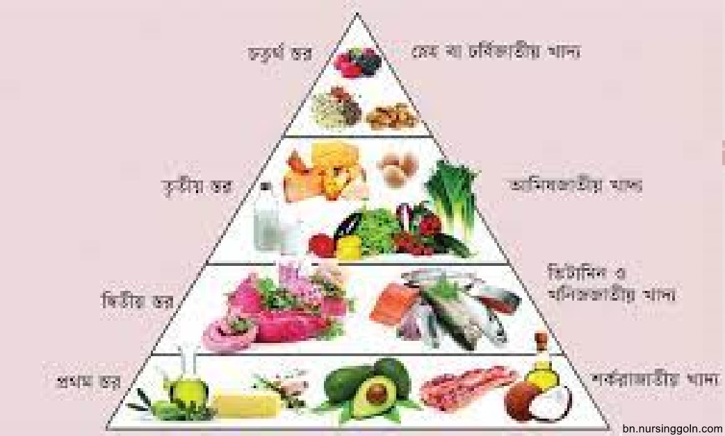 সুষম খাদ্যতালিকা ও তার প্রয়োজনীয়তা