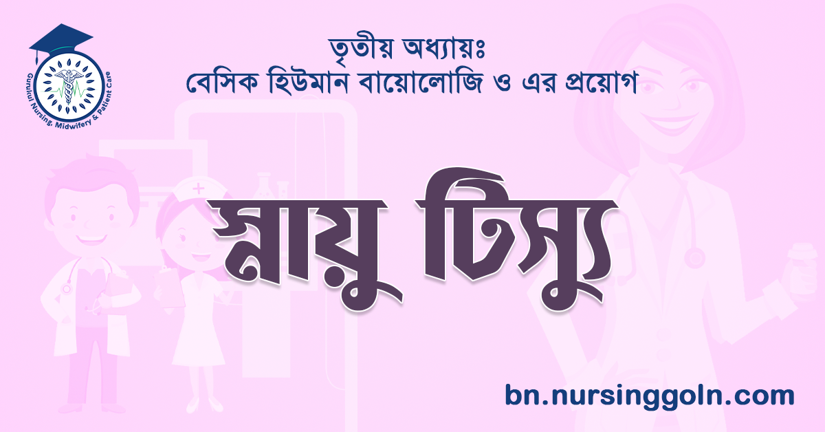 স্নায়ু টিস্যু