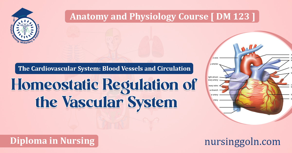 Homeostatic Regulation of the Vascular System