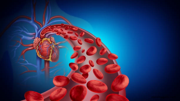 Homeostatic Regulation of the Vascular System: Blood Vessels and Circulation