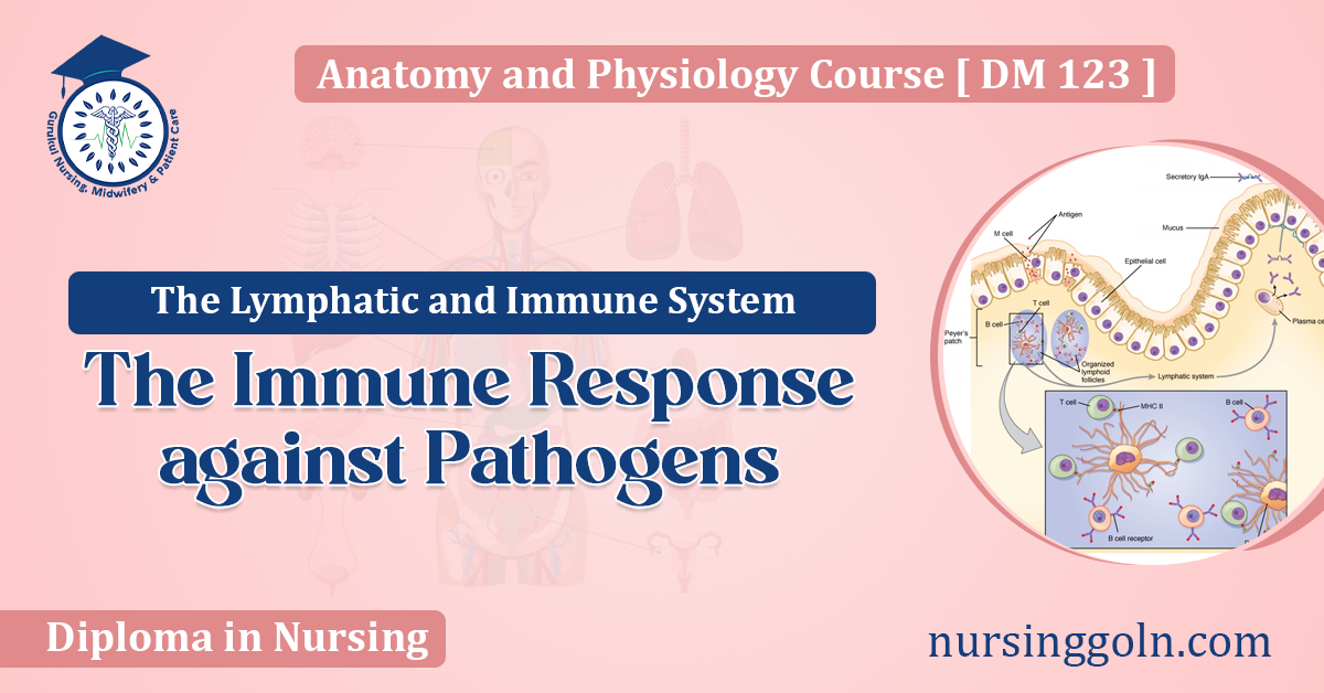 The Immune Response against Pathogens