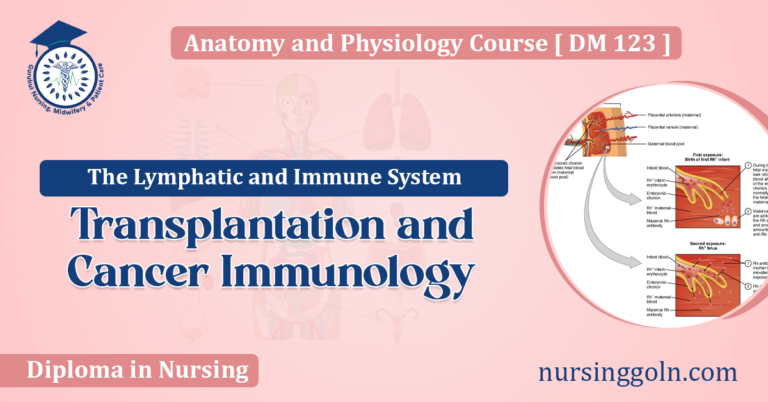 Transplantation and Cancer Immunology