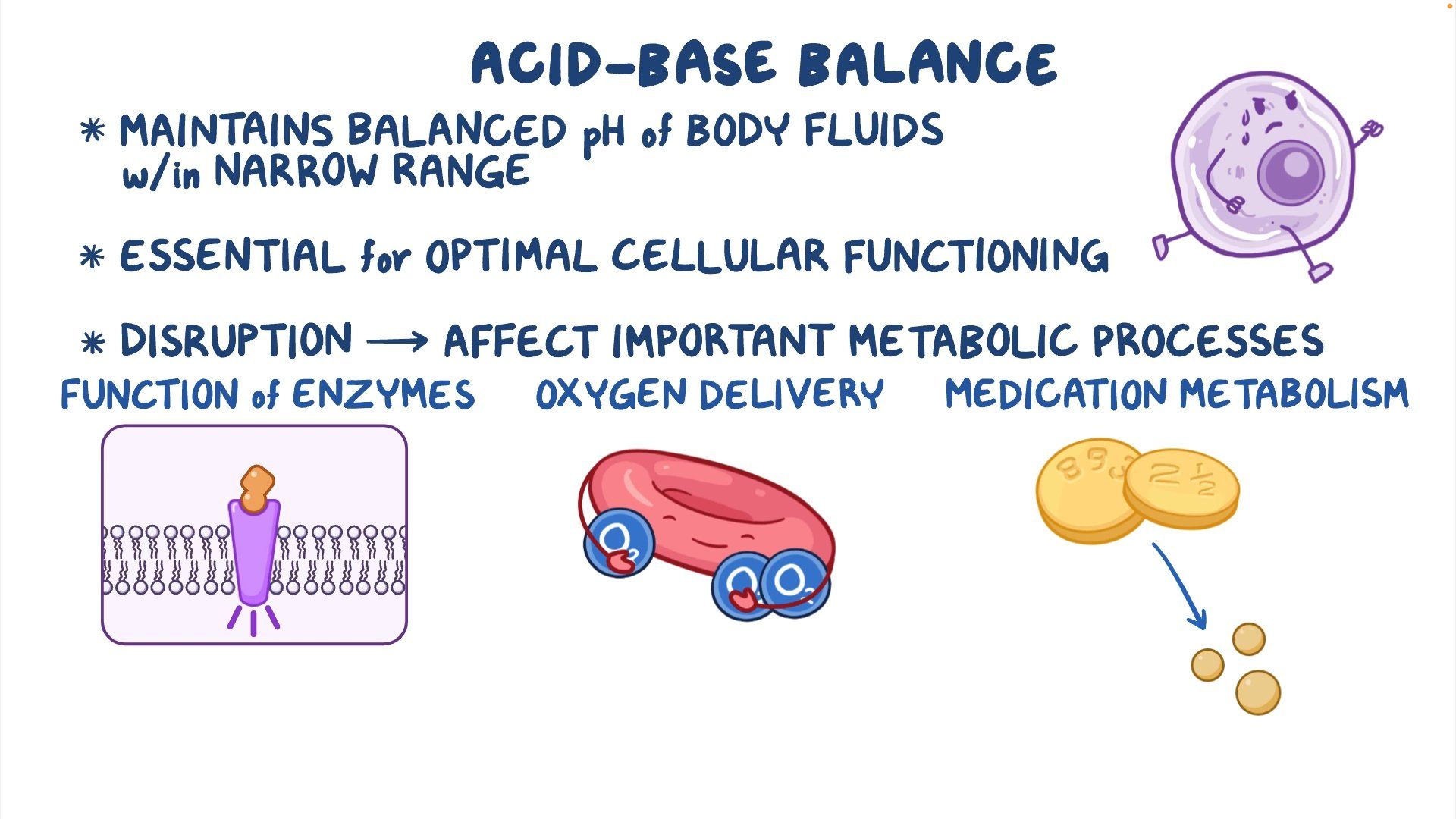 acid base balance
