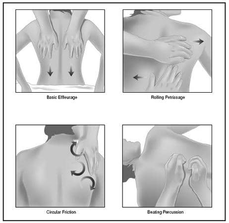 definition of back care