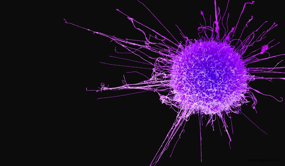 Nursing intervention of cancer | CHAPTER-12 | Medical and Surgical Nursing