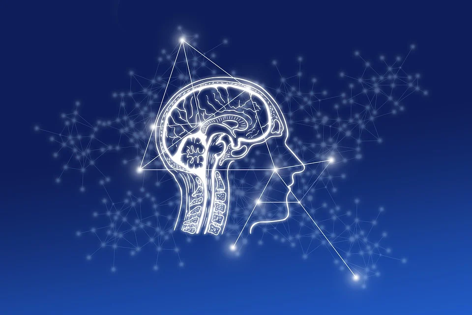 Cognitive Development | CHAPTER 20 | Behavioral Science