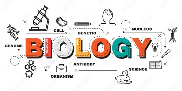 Biological Theories