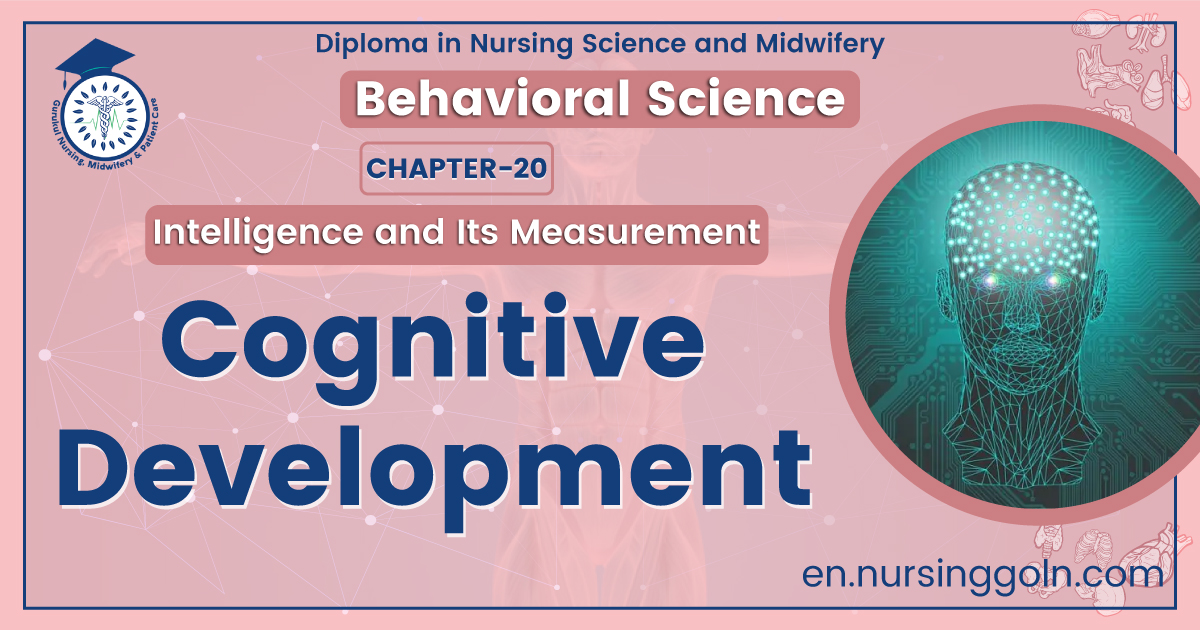 Cognitive Development