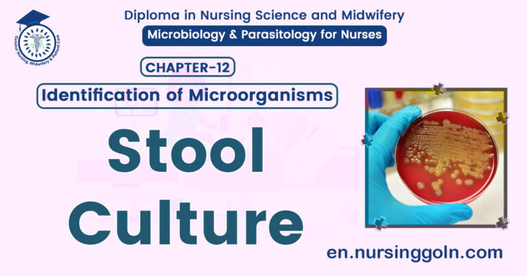 Stool Culture