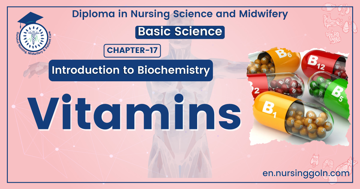 Concept about Vitamin